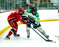 2022-03-14_Pine-Richland-Peters-Township-14