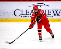 2022-03-14_Pine-Richland-Peters-Township-05