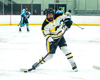 2022-03-14_NA-SV-07
