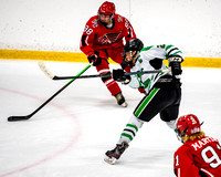 2022-03-14_Pine-Richland-Peters-Township-06