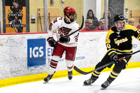 Class-3A Penguins Cup Final: Peters Township vs. North Allegheny