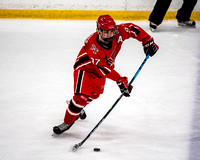 2022-03-14_Pine-Richland-Peters-Township-03