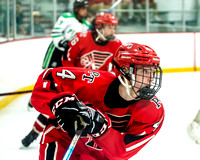 2022-03-14_Pine-Richland-Peters-Township-15