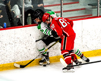 2022-03-14_Pine-Richland-Peters-Township-02